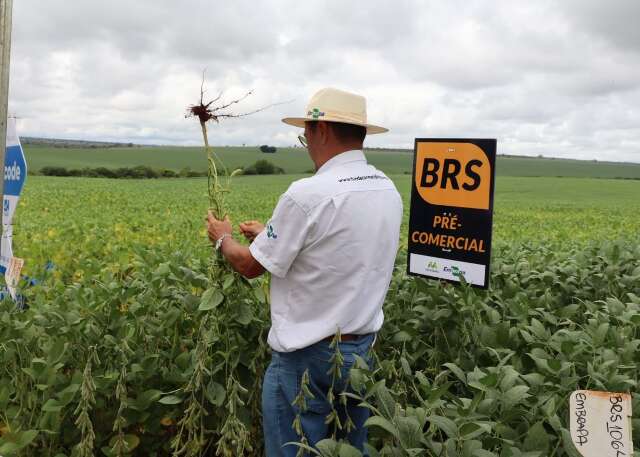 Reforma pode reduzir em 71% carga tribut&aacute;ria de produtores de soja e milho de MS