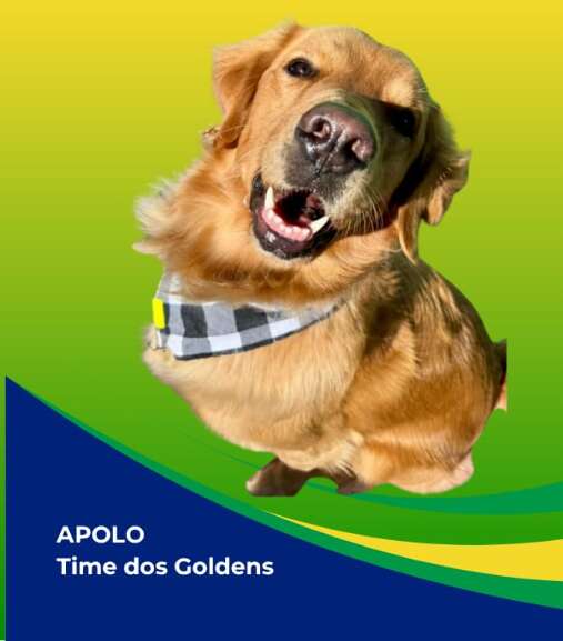 Campo Grande News