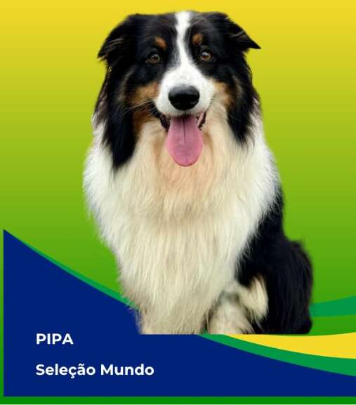 Campo Grande News
