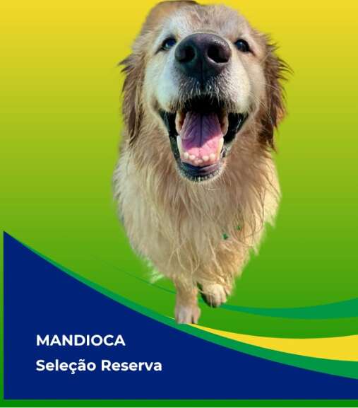 Campo Grande News