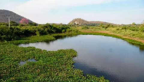 Pesquisa revela que aqu&iacute;fero do Pantanal est&aacute; perdendo capacidade de se renovar