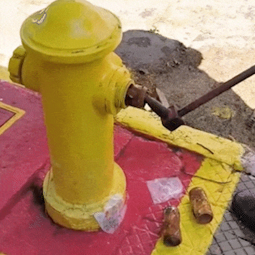 Bombeiros fazem alerta ap&oacute;s encontrarem hidrante entupido com latas de cerveja
