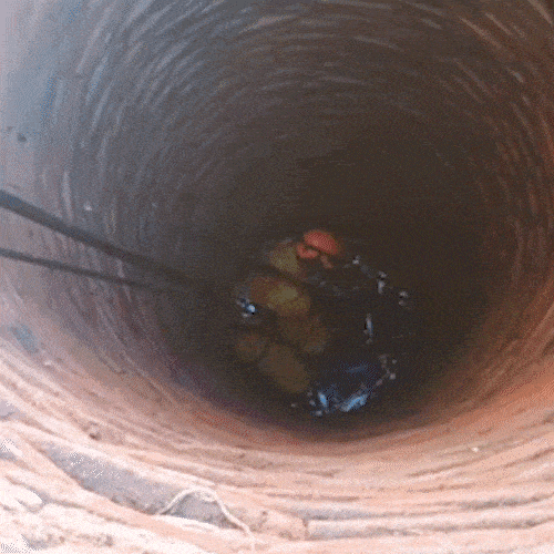 Cachorro cai a 15 metros de profundidade e &eacute; resgatado de fossa