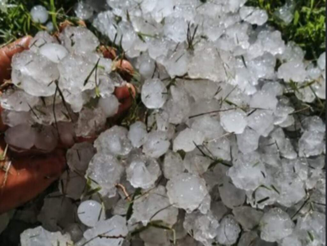 Granizo de maio causou perda de 2,1 mil hectares de milho no sul de MS
