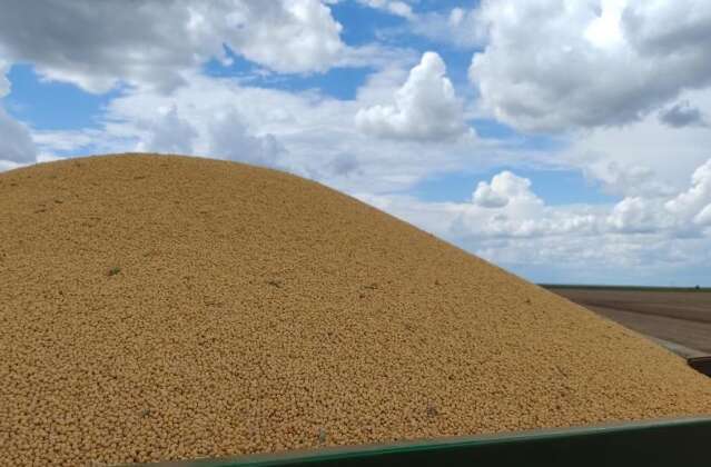 MS bate recorde de exporta&ccedil;&otilde;es e acumula super&aacute;vit de US$ 3,596 bilh&otilde;es