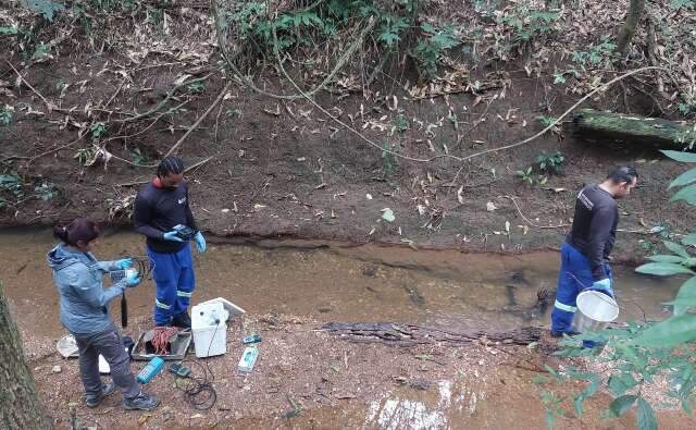 Estudo para conserva&ccedil;&atilde;o da bacia do Rio Formoso deve ser finalizado em setembro