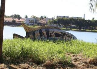 Matagal esconde Lagoa Itatiaia e moradores cobram manuten&ccedil;&atilde;o