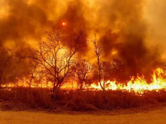 Justi&ccedil;a condena pecuarista &agrave; pris&atilde;o por inc&ecirc;ndio hist&oacute;rico no Pantanal