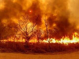 Justi&ccedil;a condena pecuarista &agrave; pris&atilde;o por inc&ecirc;ndio hist&oacute;rico no Pantanal