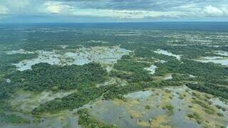 Parte do Pantanal volta a encher ap&oacute;s 10 anos de seca