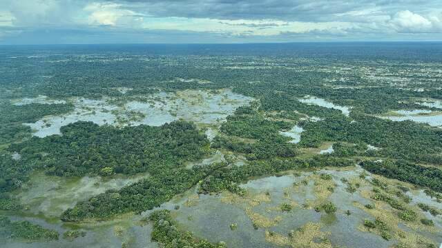 Parte do Pantanal volta a encher ap&oacute;s 10 anos de seca