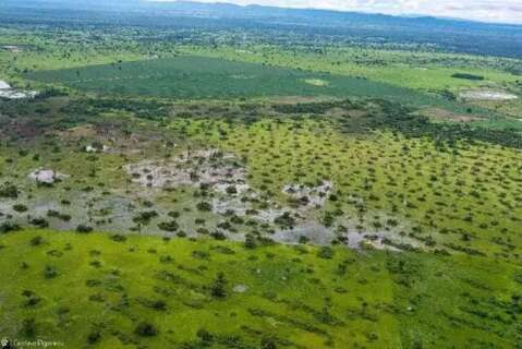Desde 2025, 23 fazendas tiveram licen&ccedil;a para ampliar pasto no Pantanal