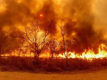 Justi&ccedil;a condena pecuarista &agrave; pris&atilde;o por inc&ecirc;ndio hist&oacute;rico no Pantanal