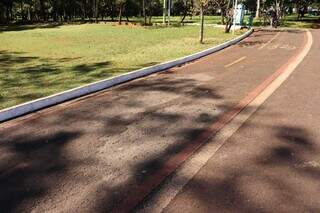 Ciclovias em parque e avenida escondem obstáculos e expõem riscos Ciclovias em parque e avenida escondem obstáculos e expõem riscos