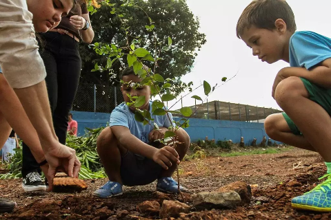 Enquete: 70% dizem ter mudado h&aacute;bitos no Dia do Meio Ambiente