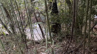 Corpo em decomposição é encontrado às margens de córrego Corpo em decomposição é encontrado às margens de córrego