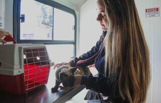 Atendimento veterinário gratuito chega ao Jardim Noroeste nesta segunda Atendimento veterinário gratuito chega ao Jardim Noroeste nesta segunda