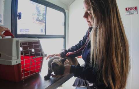 Atendimento veterin&aacute;rio gratuito chega ao Jardim Noroeste nesta segunda