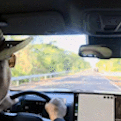 Retornando de pescaria, motorista encontra on&ccedil;a na BR-262