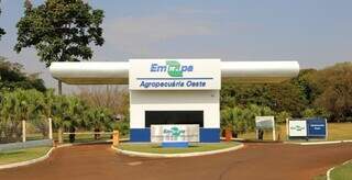 Feira da Agricultura Familiar terá programação exclusiva para povos originários Feira da Agricultura Familiar terá programação exclusiva para povos originários