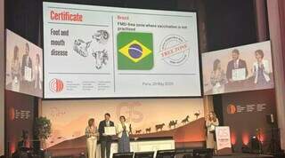 Um ano após certificação, exportações de carne bovina avançam 46% em MS Um ano após certificação, exportações de carne bovina avançam 46% em MS
