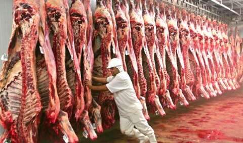 Um ano ap&oacute;s certifica&ccedil;&atilde;o, exporta&ccedil;&otilde;es de carne bovina avan&ccedil;am 46% em MS