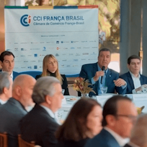 Consulesa francesa diz ter ficado &ldquo;impressionada&rdquo; com vis&atilde;o de Riedel para MS