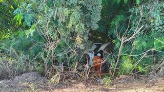 Motorista é socorrido inconsciente após cair com carro em ribanceira Motorista é socorrido inconsciente após cair com carro em ribanceira