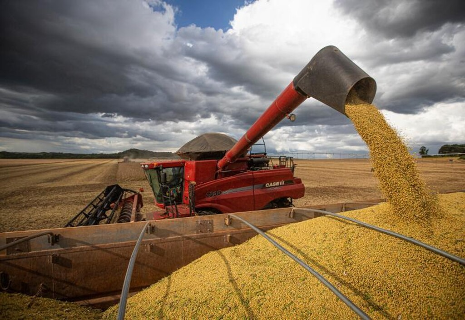 Entidades de MS pedem altera&ccedil;&atilde;o no per&iacute;odo de cultivo da soja