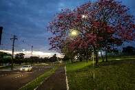 Ciclones extratropicais trazem chuva forte e granizo para MS