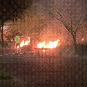 Fogo em terreno baldio avan&ccedil;a em dire&ccedil;&atilde;o a casas no Rita Vieira