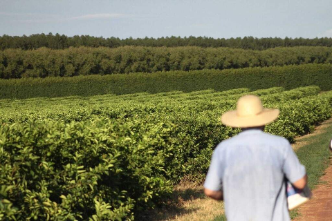 Senado aprova projeto que renegocia d&iacute;vidas de produtores rurais