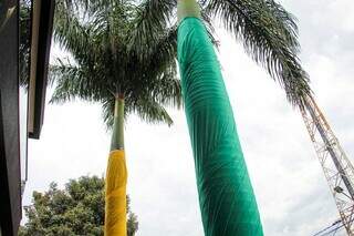 Comércios vestem "verde e amarelo" e correm para faturar antes do 1º jogo Comércios vestem "verde e amarelo" e correm para faturar antes do 1º jogo