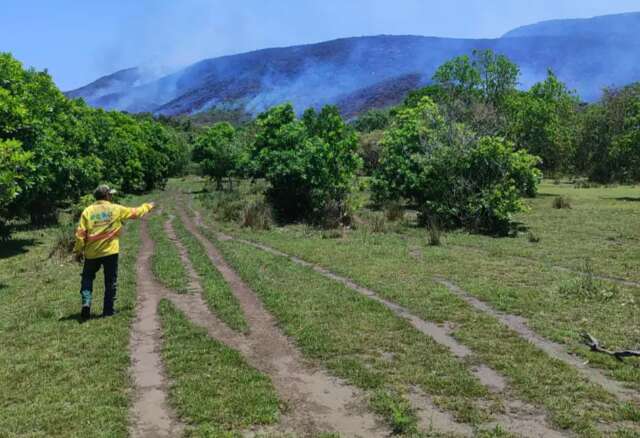 Brigadas comunit&aacute;rias far&atilde;o queima prescrita in&eacute;dita no Pantanal