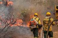 Fundo ambiental ser&aacute; desburocratizado e promete socorro imediato ao Pantanal 