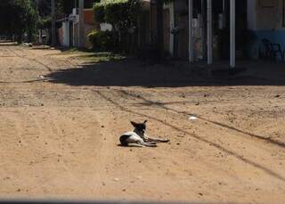 Bairro onde quem d&aacute; medo &ldquo;&eacute; o Choque&rdquo; tem um projeto social a cada esquina 