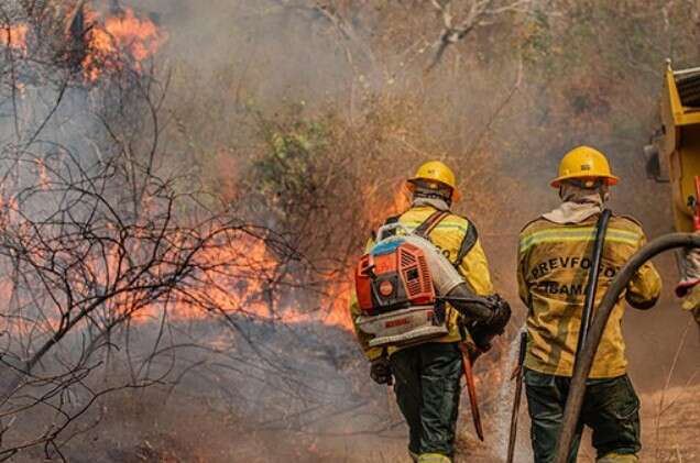 Fundo ambiental ser&aacute; desburocratizado e promete socorro imediato ao Pantanal 