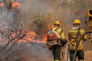 Fundo ambiental será desburocratizado e promete socorro imediato ao Pantanal Fundo ambiental será desburocratizado e promete socorro imediato ao Pantanal