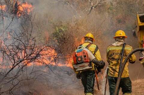 Fundo ambiental ser&aacute; desburocratizado e promete socorro imediato ao Pantanal 