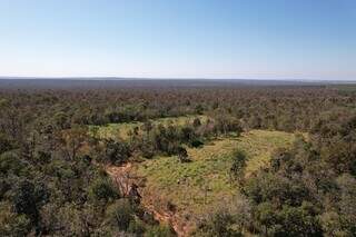 IA vai monitorar 300 mil hectares do Cerrado para detectar focos de inc&ecirc;ndio