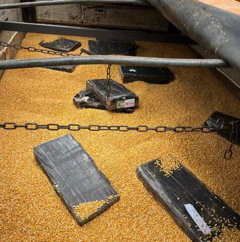 Motorista &eacute; preso com 2,1 toneladas de maconha escondidas em carga de milho