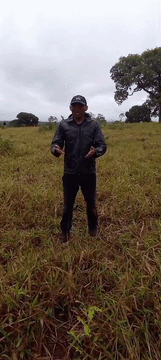 &ldquo;Aqui, &eacute; nosso&rdquo;: ind&iacute;genas voltam a ocupar fazenda em Sidrol&acirc;ndia