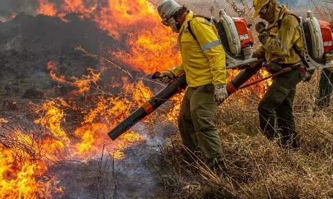 Uni&atilde;o libera R$ 337 milh&otilde;es para combate a inc&ecirc;ndios