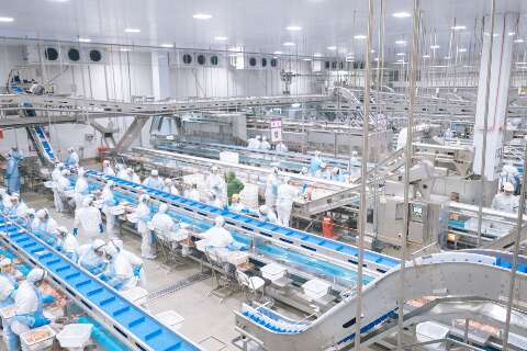 Investimento de R$ 18 milh&otilde;es impulsiona expans&atilde;o da avicultura no sul do Estado