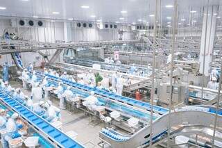 Investimento de R$ 18 milhões impulsiona expansão da avicultura no sul do Estado Investimento de R$ 18 milhões impulsiona expansão da avicultura no sul do Estado
