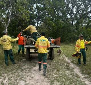 Queima prescrita inédita no Amolar reforça prevenção ao fogo no Pantanal Queima prescrita inédita no Amolar reforça prevenção ao fogo no Pantanal