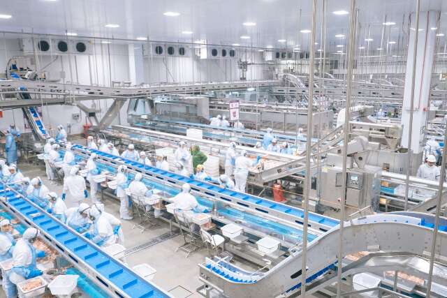 Investimento de R$ 18 milh&otilde;es impulsiona expans&atilde;o da avicultura no sul do Estado