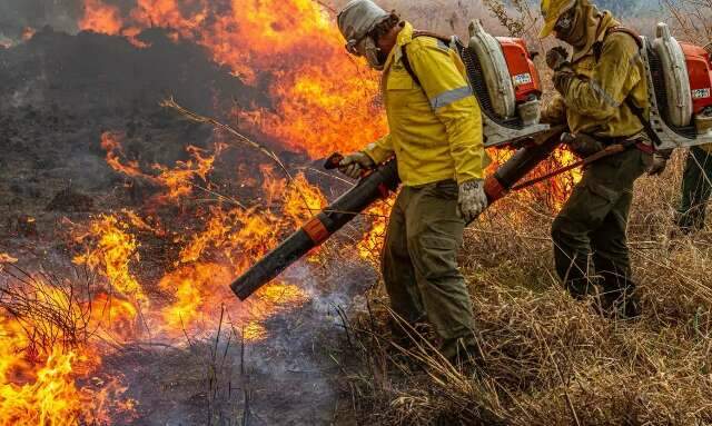 Uni&atilde;o libera R$ 337 milh&otilde;es para combate a inc&ecirc;ndios