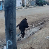 Adolescente de 13 anos &eacute; baleado por dupla em moto no Centro-Oeste