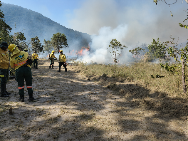 Queima prescrita in&eacute;dita no Amolar refor&ccedil;a preven&ccedil;&atilde;o aos inc&ecirc;ndios no Pantanal